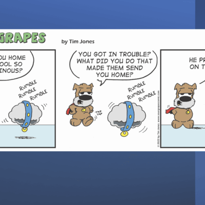 A comic strip with a teddy bear and grapes.