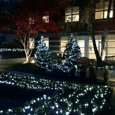 Christmas lights in the garden of a building.
