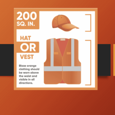 Hat vs vest infographic.
