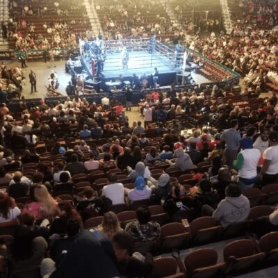 CES Boxing fans eagerly watching a thrilling match in an arena.