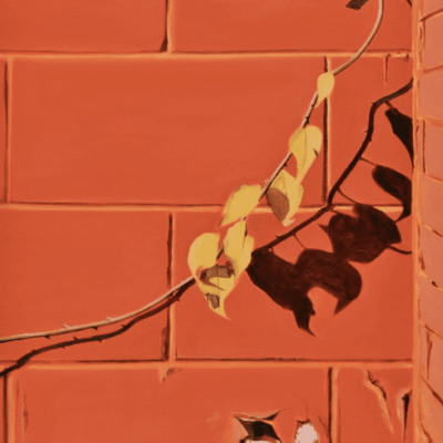 An artistic red brick wall with a branch hanging from it.