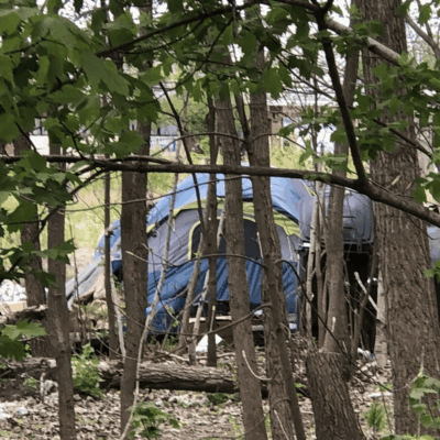 A tent sits in the woods next to trees.