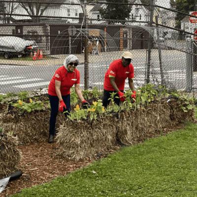 Two people in red shirts working on a garden bed.