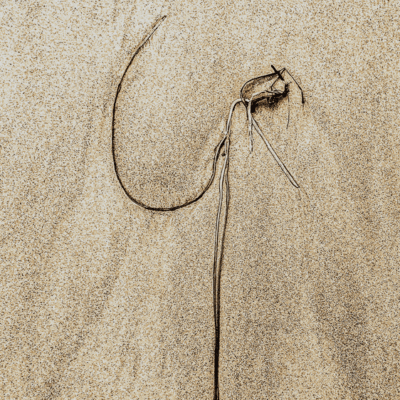 An artistic sand dune showcasing a vibrant surfboard.