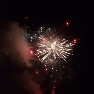 A stunning fireworks display illuminating the dark sky.