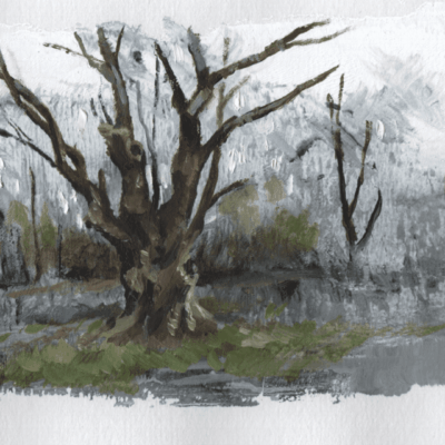 An exquisite painting of a majestic tree in the enchanting woods displayed at an art gallery.