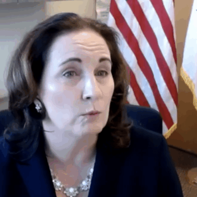 Liz Tanner, a woman in a suit sitting in front of an American flag.