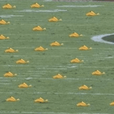 A football field prepared for NFL games, with yellow cones on it.