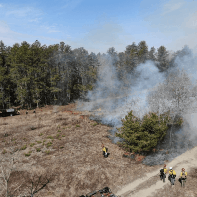 Aerial view of a wildfire burning in the woods.