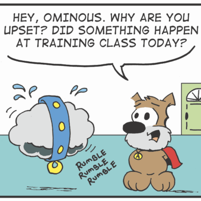 Upset cloud dog training class.