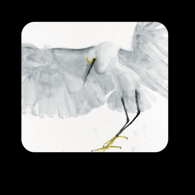 Watercolor painting of snowy egret landing.