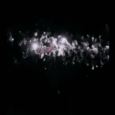 Crowd at night, lights flashing.