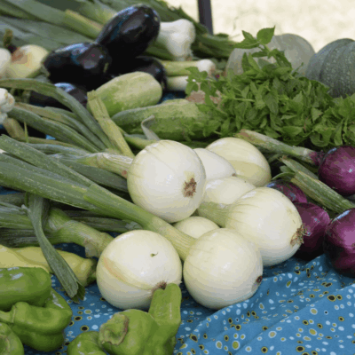 Fresh onions, peppers, and herbs.