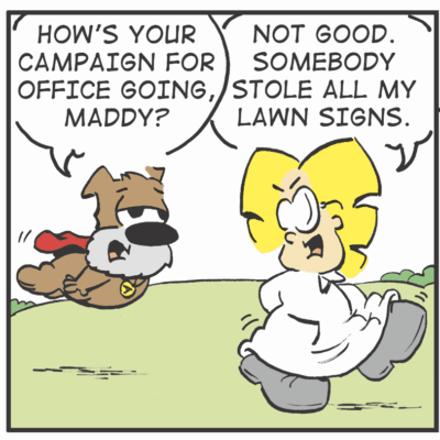 Campaign signs stolen, Maddy upset.