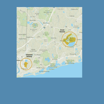 Map of Great Swamp and Chapman Swamp.
