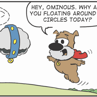 Dog asks why cloud circles around.