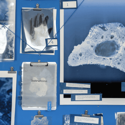 Cyanotype prints and instructions.