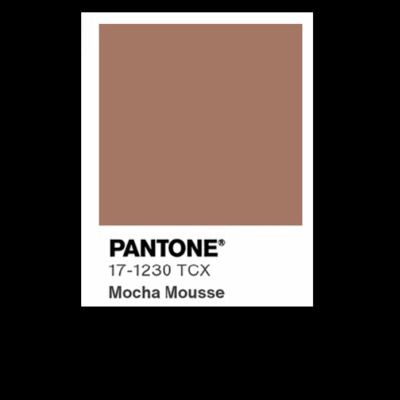 A pantone color swatch of mocha mousse.