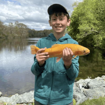 Boy holding a golden fish by river.
