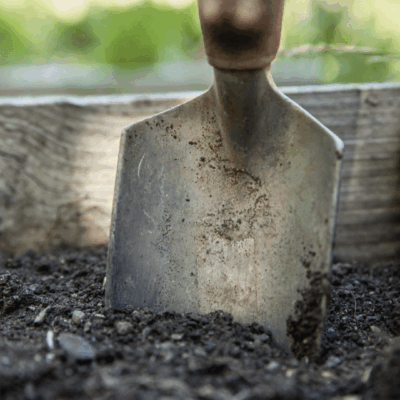 Garden trowel in soil-filled wooden box.
