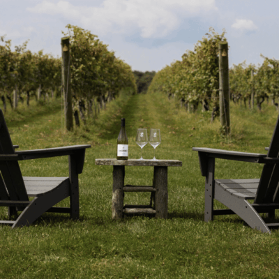 Two chairs and a table with wine glasses in a vineyard.
