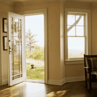 Sunlit room with open door leading to a green garden and a dog outside.