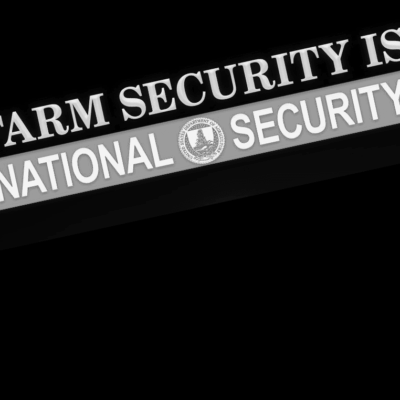 Logo of National Security Agency with partial text "ARM SECURITY IS".