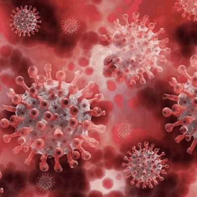 Close-up of virus particles in red hues.