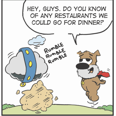 A dog asks about dinner while a tumbleweed rolls by.