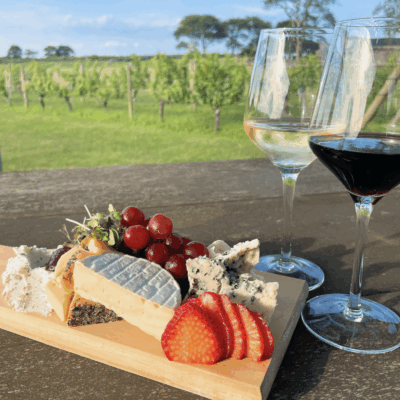 Sakonnet Vineyards on October 8, 2025, RINewsToday