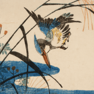 A colorful bird perched near water with reeds.