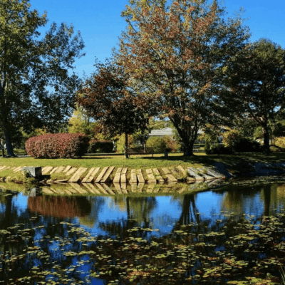 Peaceful autumn scene with colorful trees reflected in a calm pond.