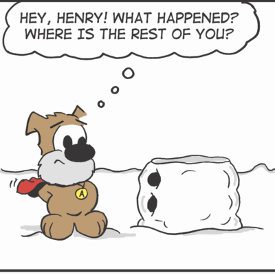 Dog wonders where the rest of Henry is after seeing an empty doghouse.