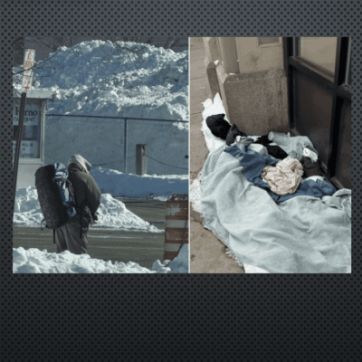 Two dogs resting in snowy outdoor areas, one on a bench and another on a blanket.