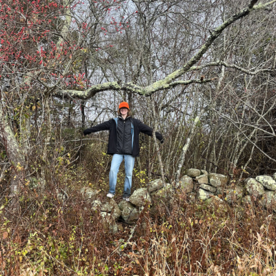 RI stone walls
