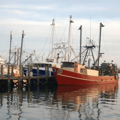 Fishing vessels at Point Judith, Rhode Island. Credit: NOAA Fisheries
