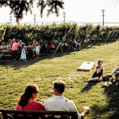 A group of people sitting on benches in a vineyard.