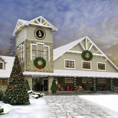 A large building with a christmas tree in front of it.