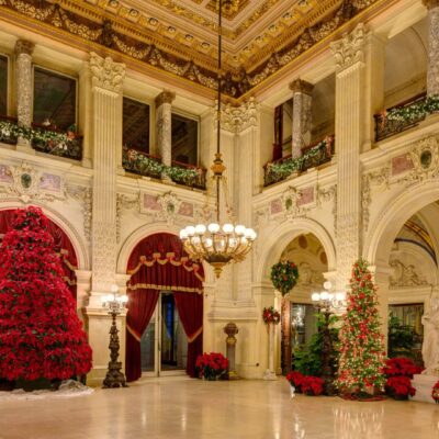 A large room with many christmas trees in it