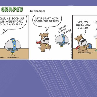 Sour grapes comic strip.