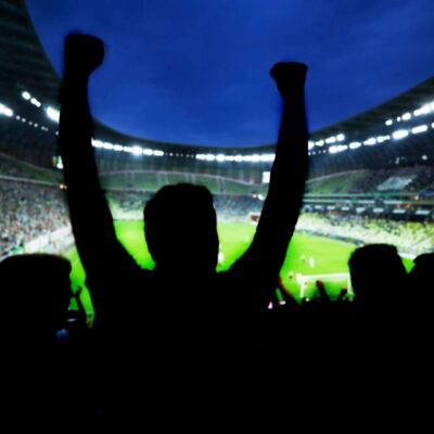 A group of people at a soccer stadium cheering.
