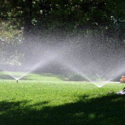 lawn