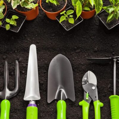 Gardening tools on the ground with plants.