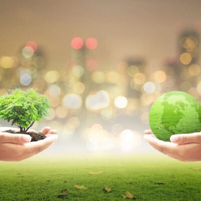 Two hands holding a green earth with a tree growing in it.