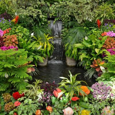 A vibrant garden with a small waterfall and diverse colorful flowers.