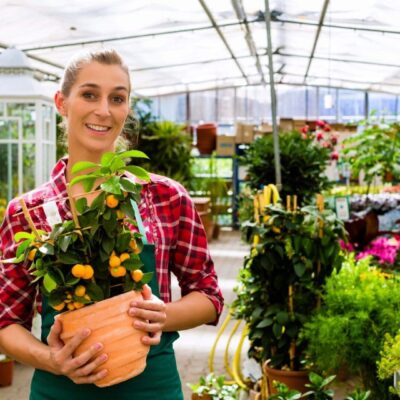 Woman holding potted citrus tree in greenhouse.