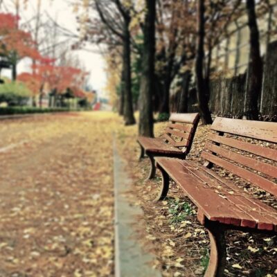 A bench in a park.