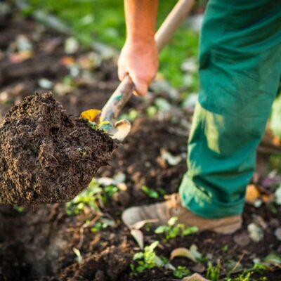 Person digging soil with shovel.