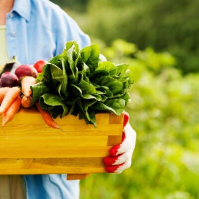 Person holding a crate of fresh vegetables.