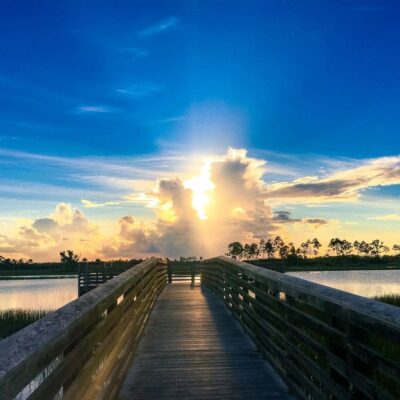 A scenic sunset over a wooden bridge with palm trees and water.